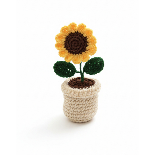 Woolen Mini flower Pots 🪴🌻